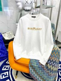 Picture of Burberry Sweatshirts _SKUBurberryM-3XL12yn8724803